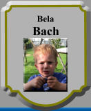 Bela Bach * ...................